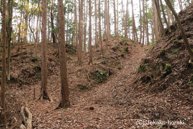 常陸 檜沢城の写真