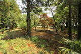 常陸 飯沼城の写真
