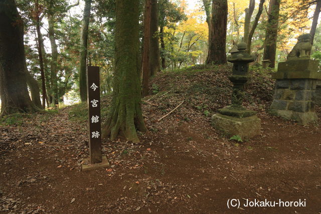 常陸 今宮館の写真