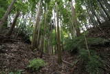 常陸 石神城の写真