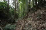 常陸 石神城の写真