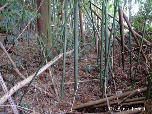 常陸 石岡城の写真