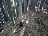 常陸 石塚城の写真