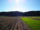 常陸 石塚城の写真