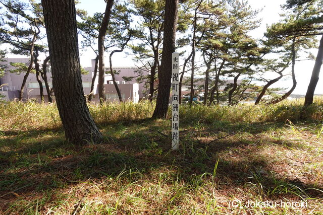 常陸 祝町向洲台場の写真