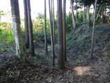 常陸 神宮寺城の写真