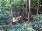 常陸 神宮寺城の写真