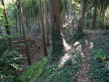 常陸 神宮寺城の写真