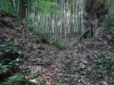 常陸 神宮寺城の写真