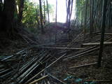 常陸 神宮寺城の写真