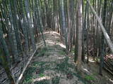 常陸 神宮寺城の写真