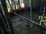 常陸 神宮寺城の写真