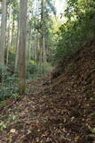 常陸 十殿坂館の写真