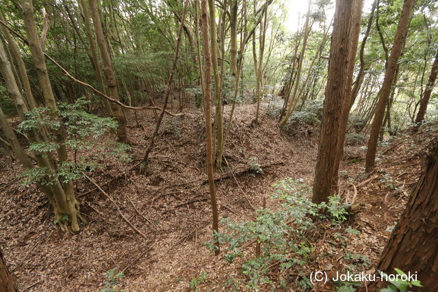 常陸 上入野城の写真