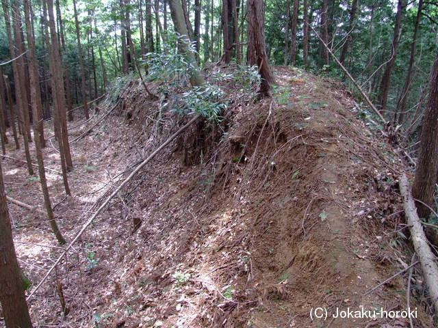 常陸 片野城の写真