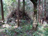 常陸 片野城の写真