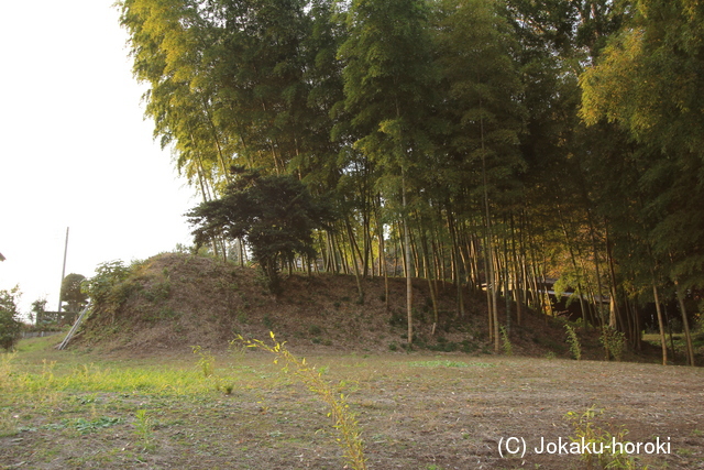 常陸 鯉淵城の写真