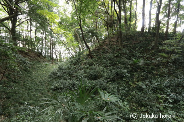 常陸 金田城の写真