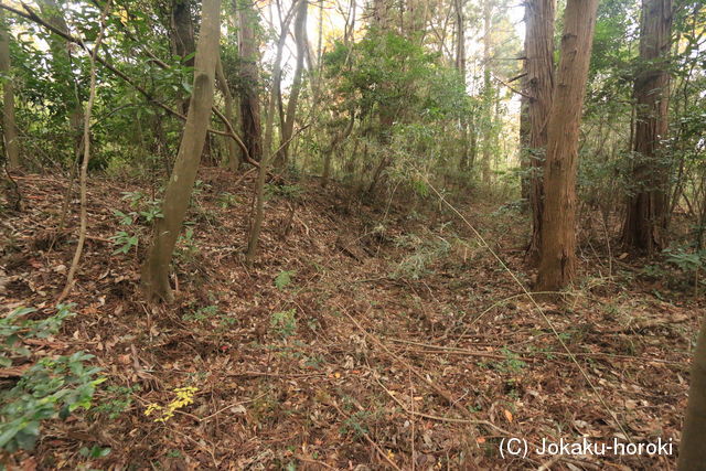 常陸 小山城の写真