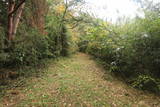 常陸 小山城の写真