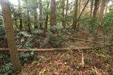 常陸 小山城の写真