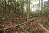 常陸 小山城の写真