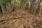 常陸 小山城の写真