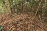 常陸 小山城の写真