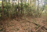 常陸 小山城の写真