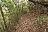常陸 小山城の写真