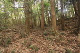 常陸 小山城の写真