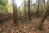 常陸 小山城の写真