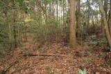 常陸 小山城の写真