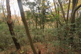 常陸 小山城の写真