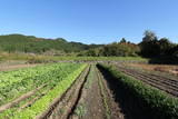 常陸 小里城の写真