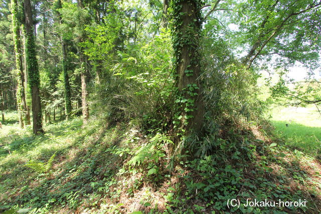 常陸 久野城の写真