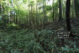 常陸 前小屋城の写真