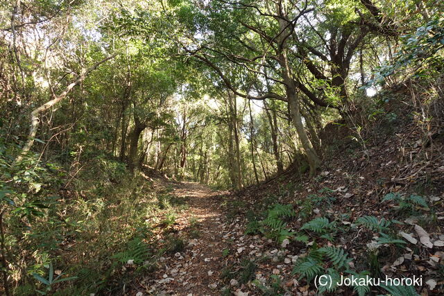 常陸 前山城の写真