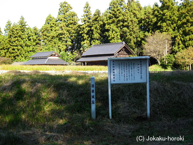 常陸 孫根城の写真