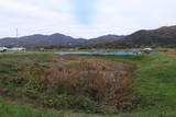 常陸 真壁城の写真