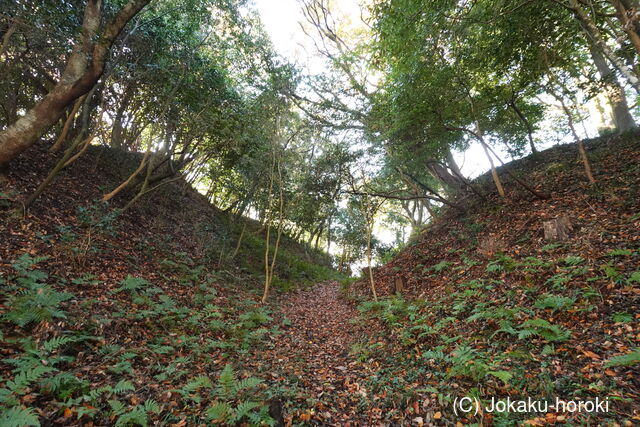 常陸 真崎城の写真