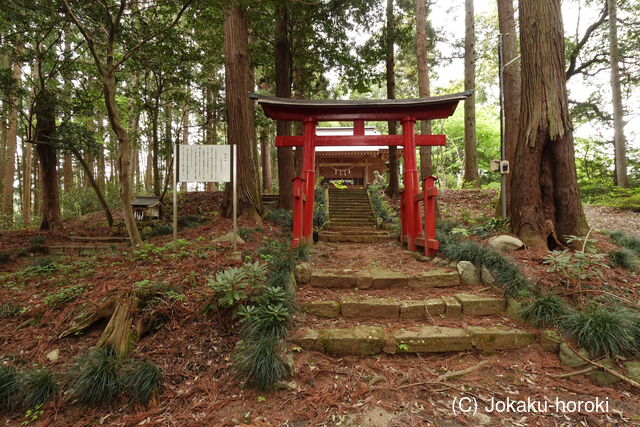 常陸 松平城の写真