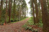 常陸 松平城の写真