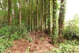 常陸 松平城の写真