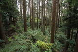 常陸 見川城の写真