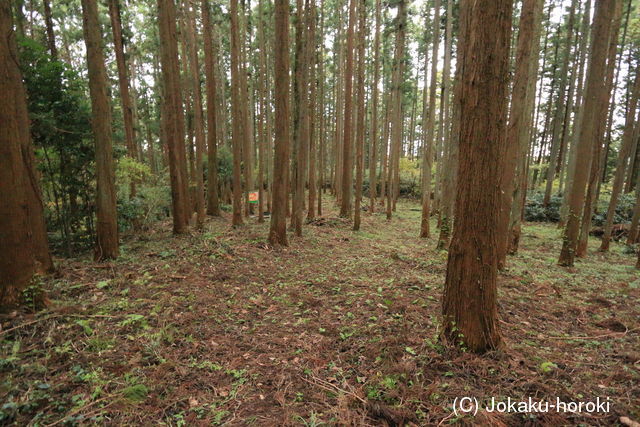 常陸 長倉城の写真