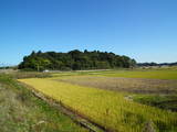 常陸 長山城の写真