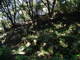 常陸 長山城の写真