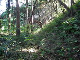 常陸 長山城の写真