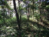 常陸 長山城の写真